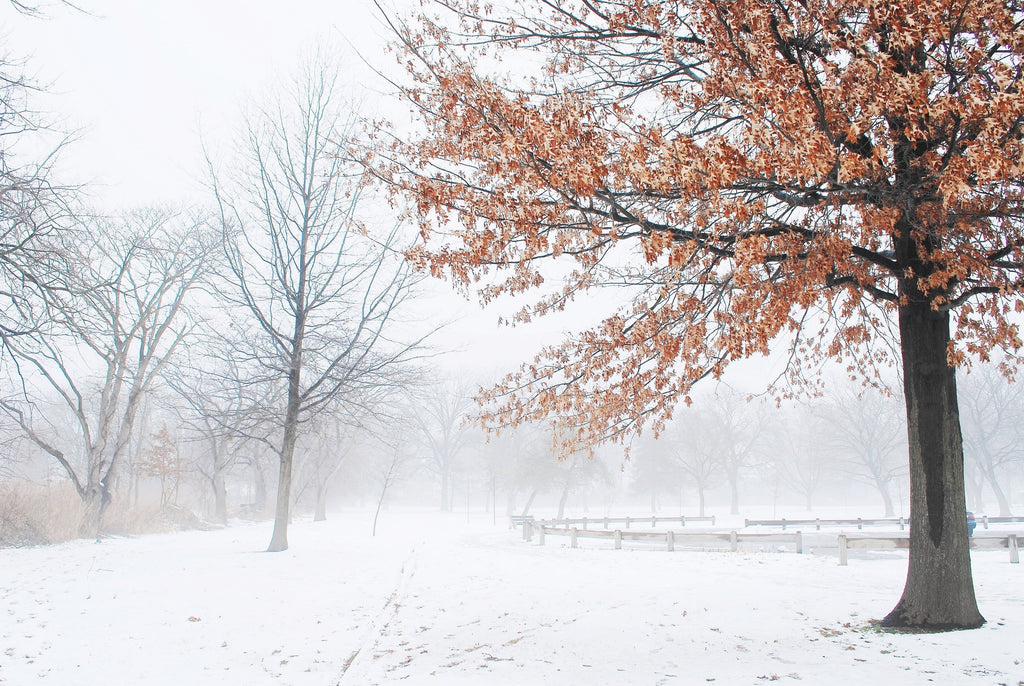 Yule 2025 Part 1 Lineup Info