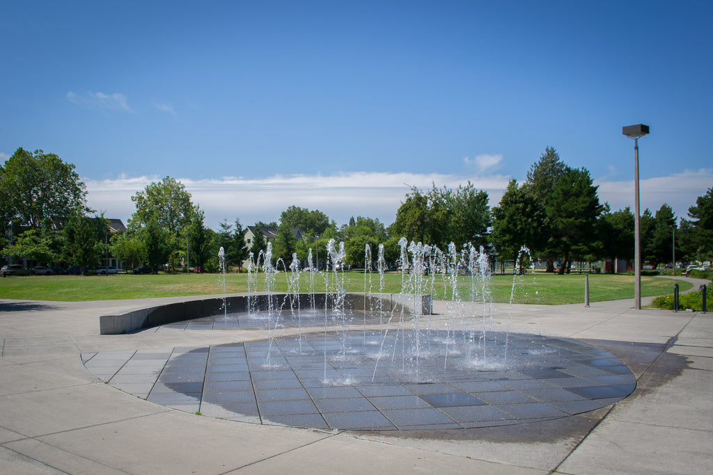 McCoy Park