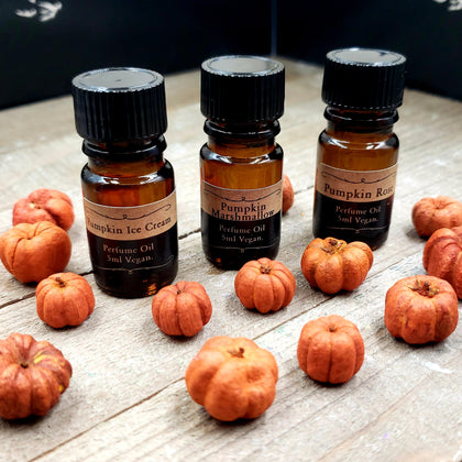 Pumpkin Patch