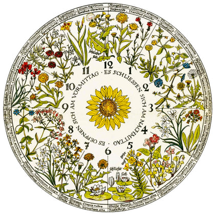 Flower Clock Perfumes