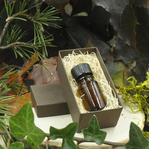 Fall Perfume Oils – Haus of Gloi
